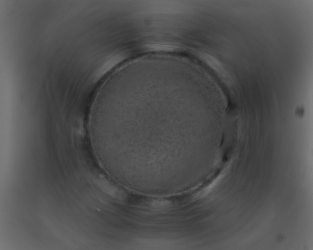 X0000093101209200710101530