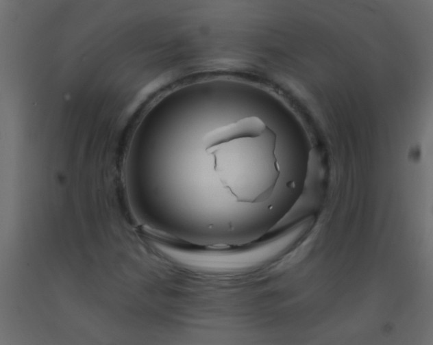 X0000093101210200710101531