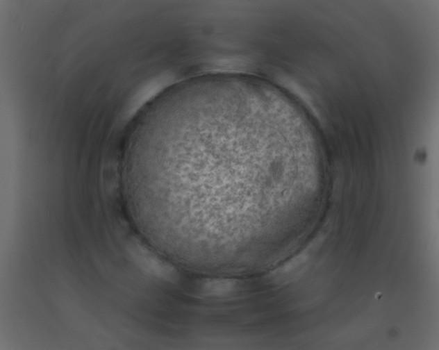 X0000093101211200710101531