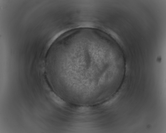 X0000093101212200710101531
