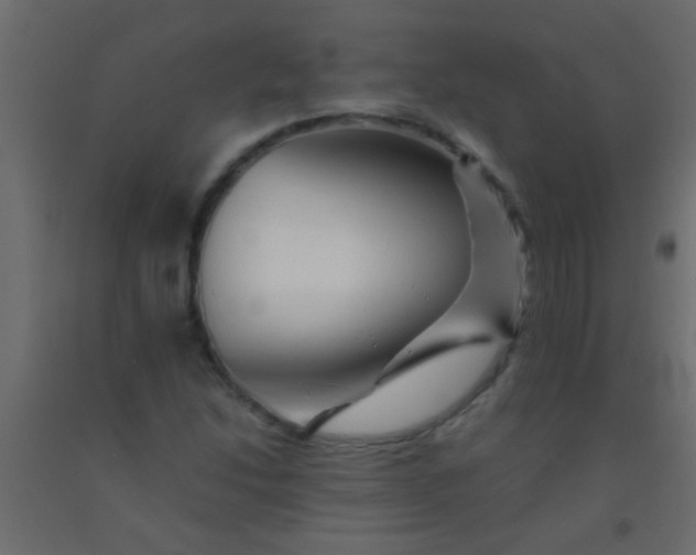 X0000093101214200710101531