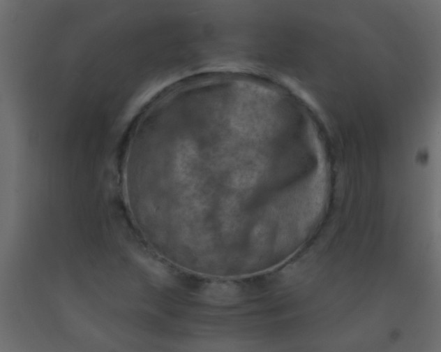 X0000093101215200710101531
