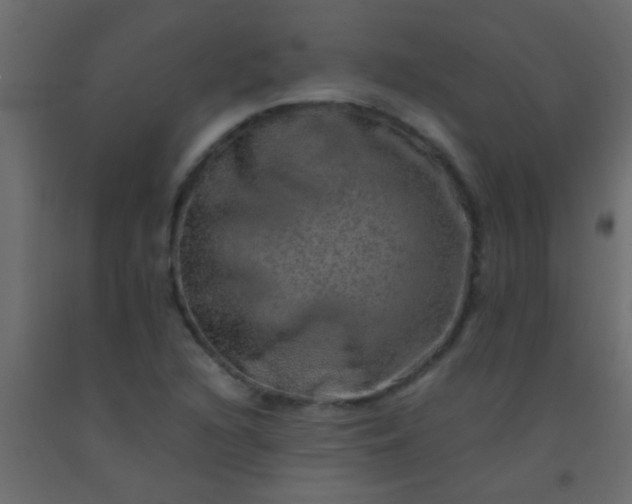 X0000093101216200710101531