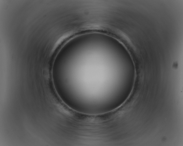 X0000093101218200710101531