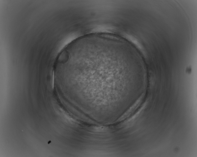 X0000093101219200710101531