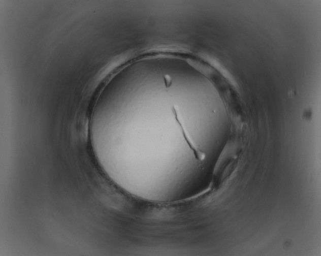 X0000093101221200710101531