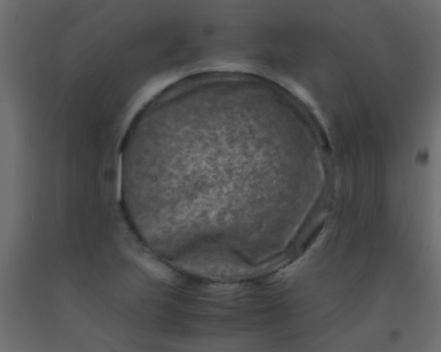 X0000093101223200710101531