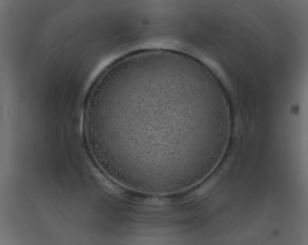 X0000093101224200710101531
