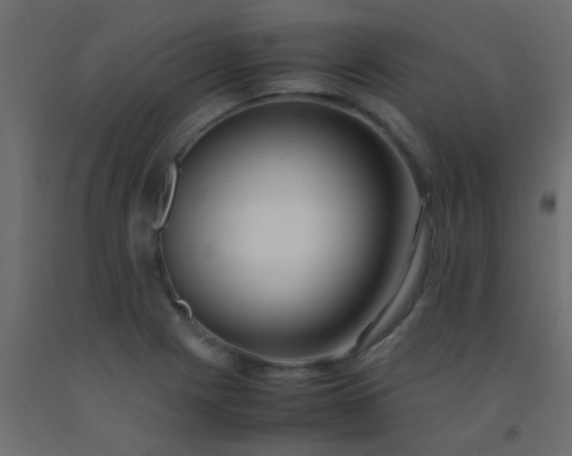 X0000093101225200710101531