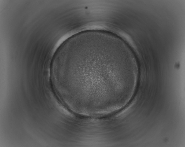 X0000093101226200710101531