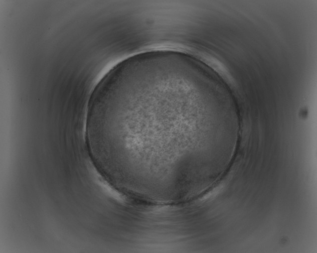 X0000093101228200710101531
