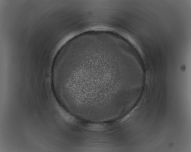 X0000093101229200710101531