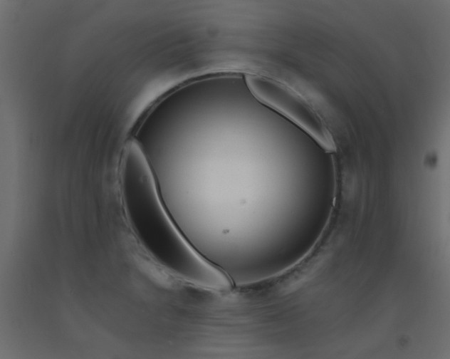 X0000093101230200710101531