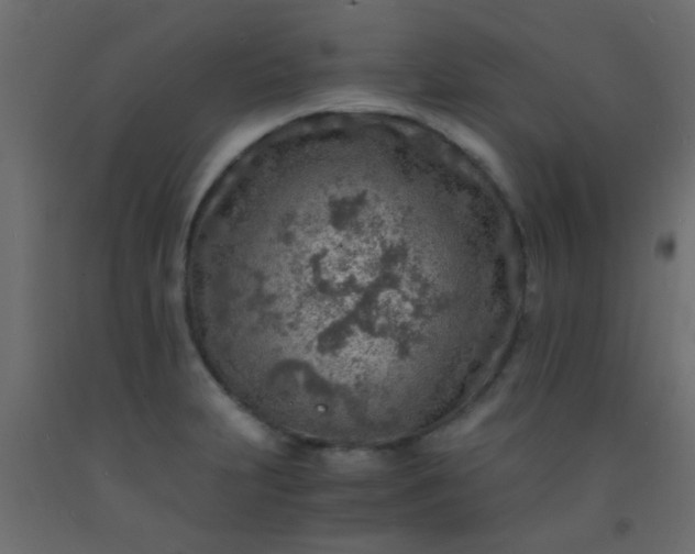 X0000093101231200710101531