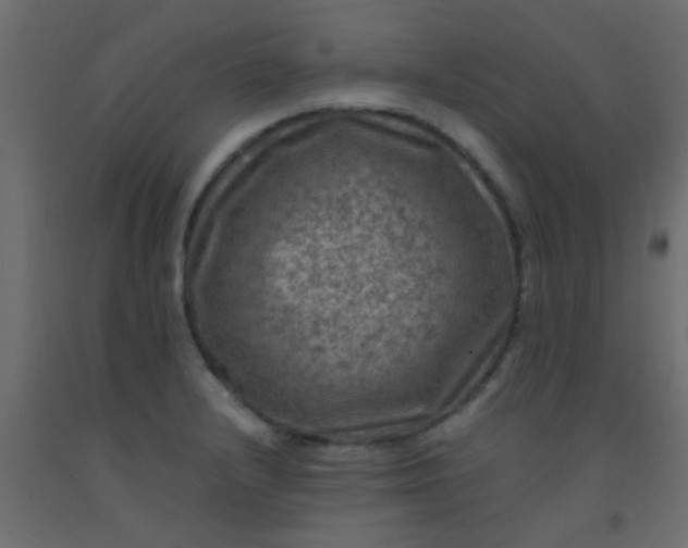 X0000093101232200710101531