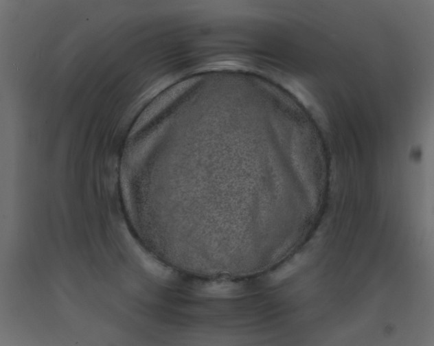 X0000093101233200710101531
