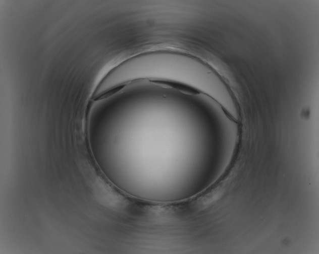X0000093101234200710101531