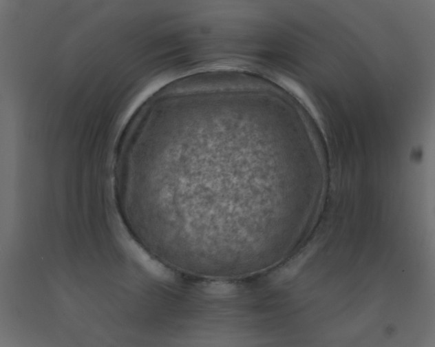 X0000093101235200710101531