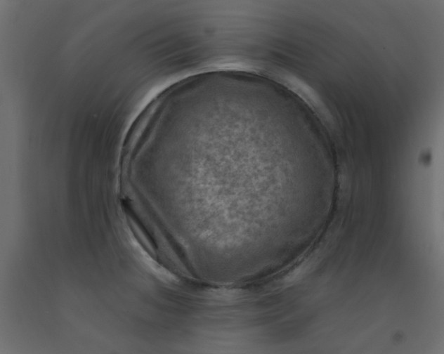 X0000093101236200710101531