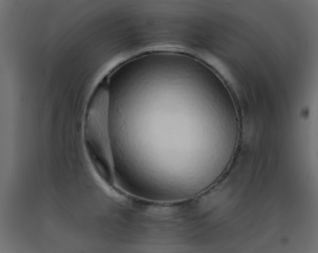 X0000093101237200710101531