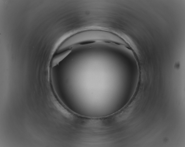 X0000093101238200710101531
