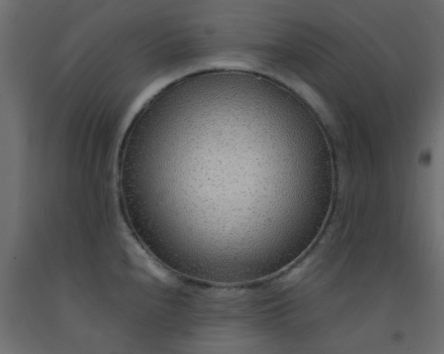 X0000093101240200710101531