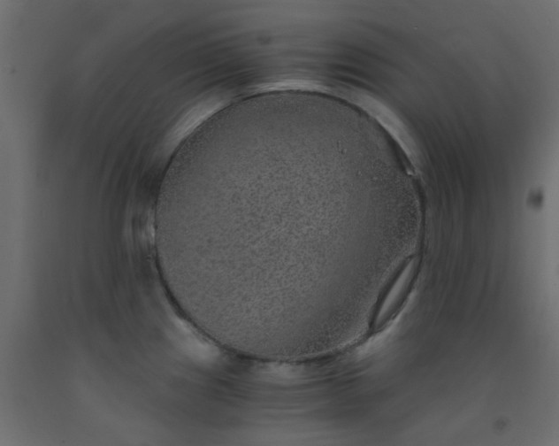 X0000093101241200710101531