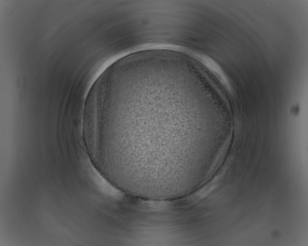 X0000093101244200710101531