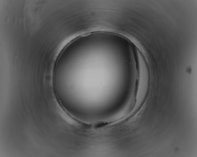 X0000093101246200710101531