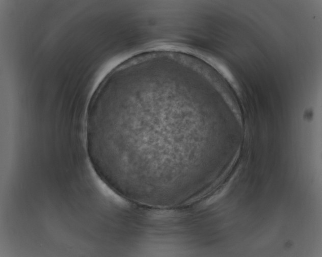 X0000093101247200710101531
