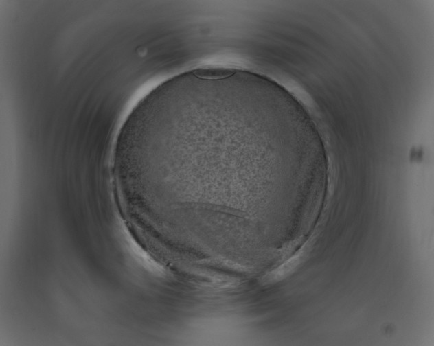 X0000093101248200710101531