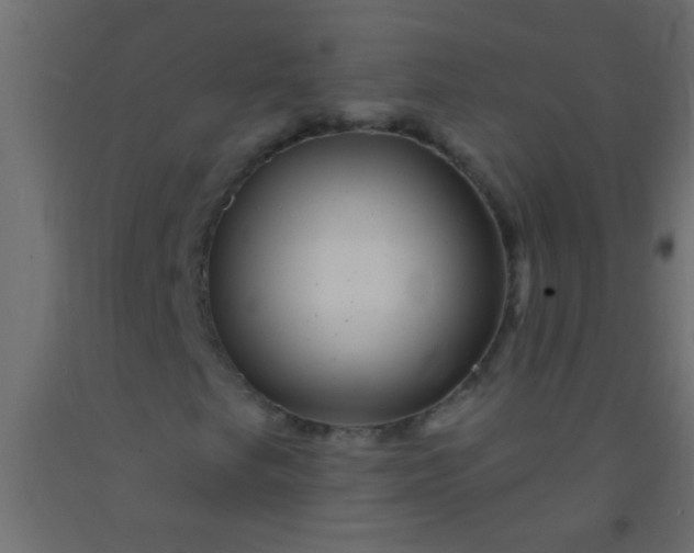 X0000093101249200710101530