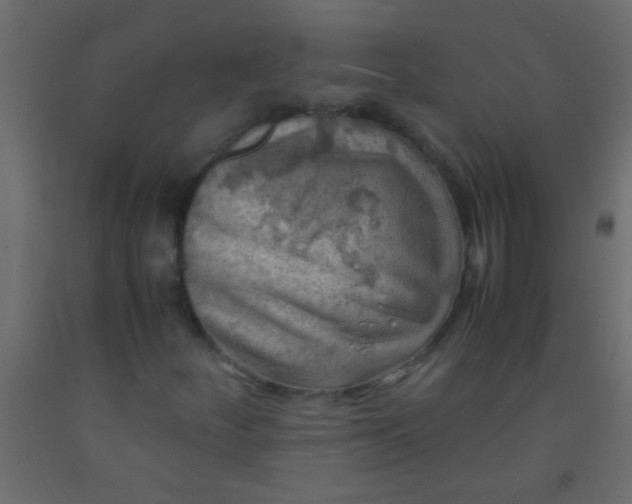 X0000093101252200710101530