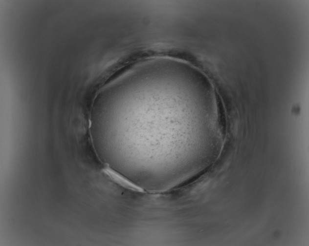 X0000093101253200710101530