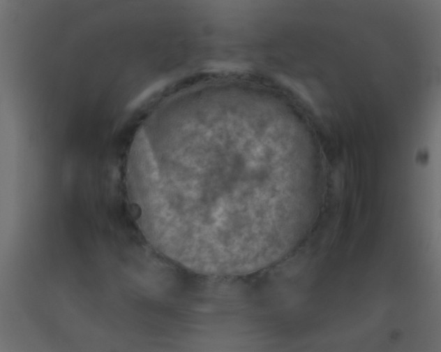 X0000093101254200710101530
