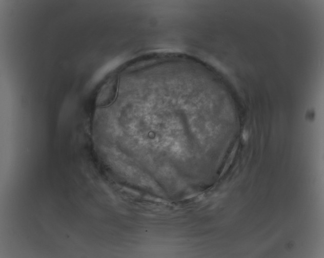 X0000093101255200710101530