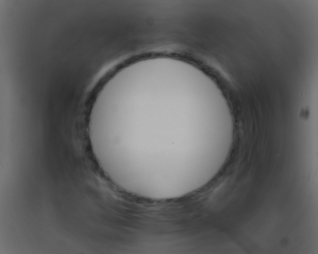 X0000093101256200710101530