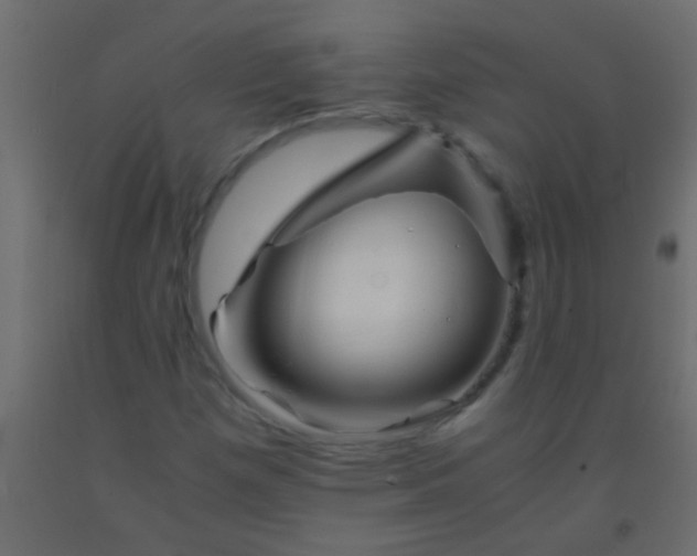 X0000093101257200710101530