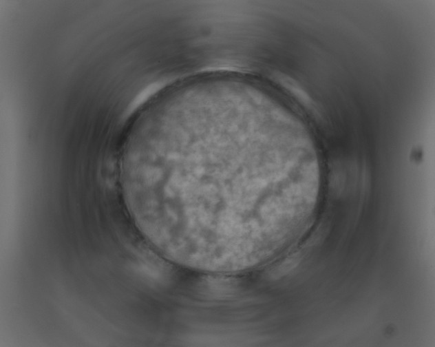 X0000093101258200710101530