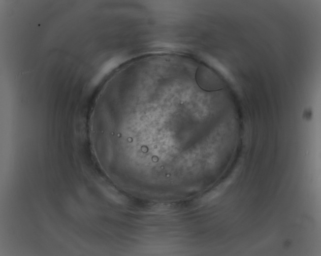 X0000093101259200710101530