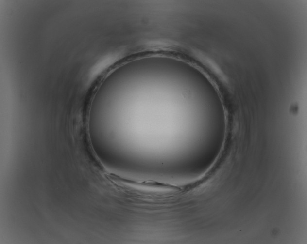 X0000093101261200710101530