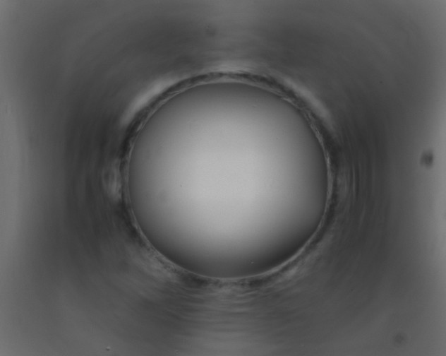 X0000093101262200710101530