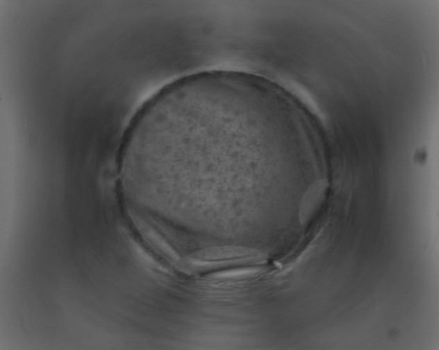 X0000093101264200710101530