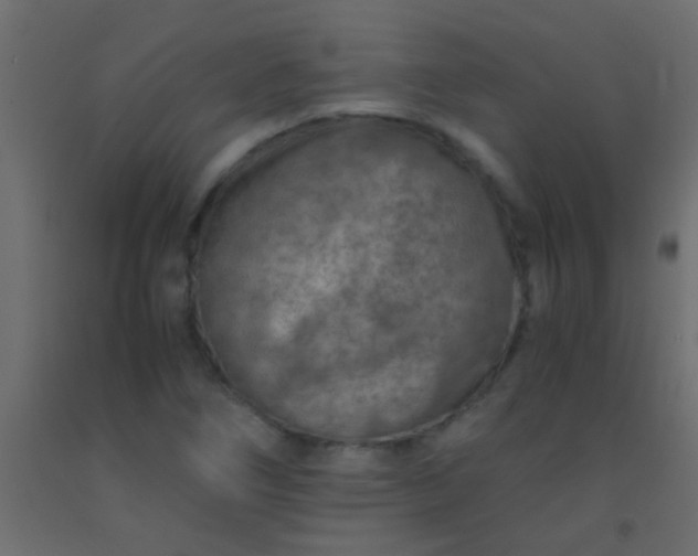 X0000093101266200710101530