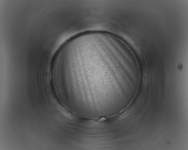 X0000093101270200710101530