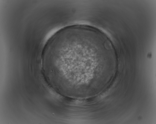 X0000093101271200710101530