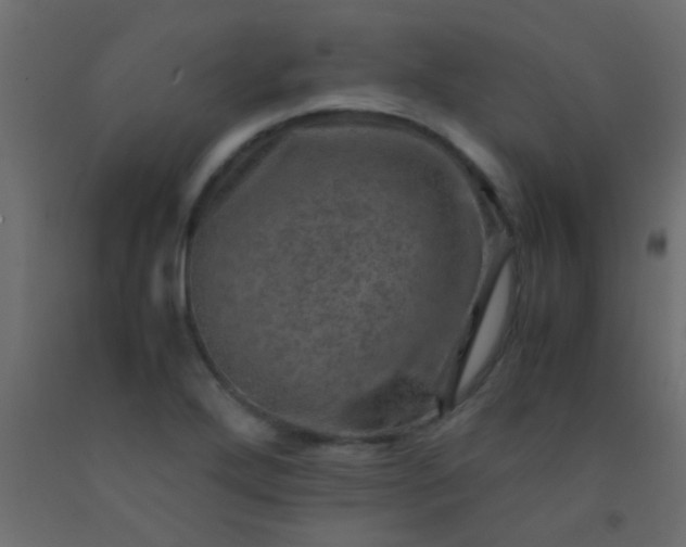 X0000093101272200710101530