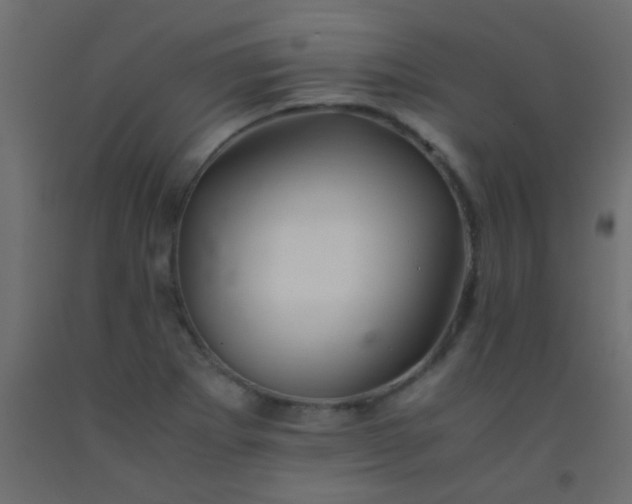X0000093101273200710101530