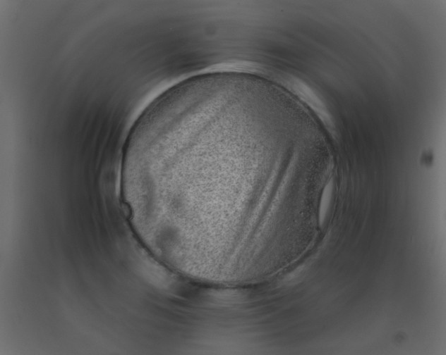 X0000093101276200710101530