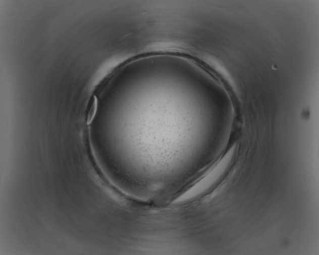 X0000093101277200710101530